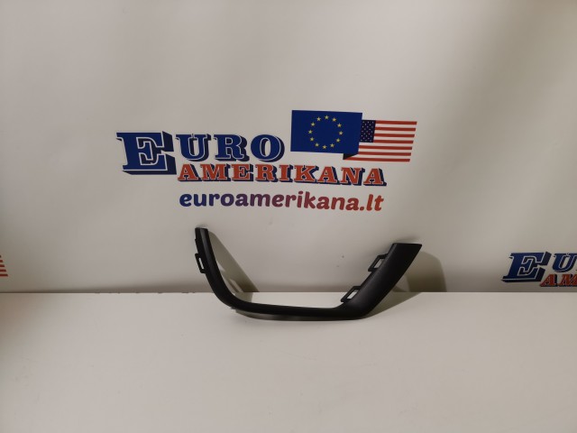 Trim Bezel